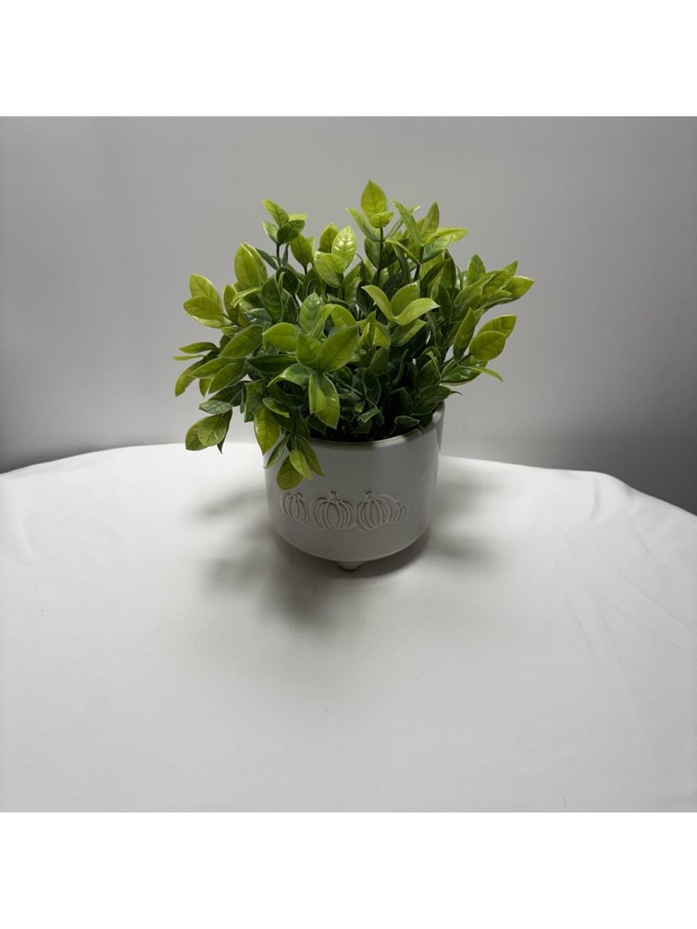 Artificial Green Plant in White Ceramic Pot with Pumpkin Accents